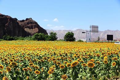 太空探索刷宝射击游戏《永恒空间2》全新拓展包公布 预计2025年推出
